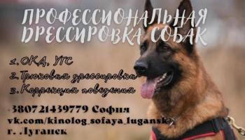 Дрессировка собак, кинолог Луганск и область.